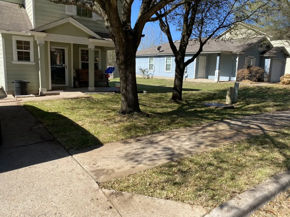 Local lawn care service in Austin, TX - Palafox Landscaping and Tree Service