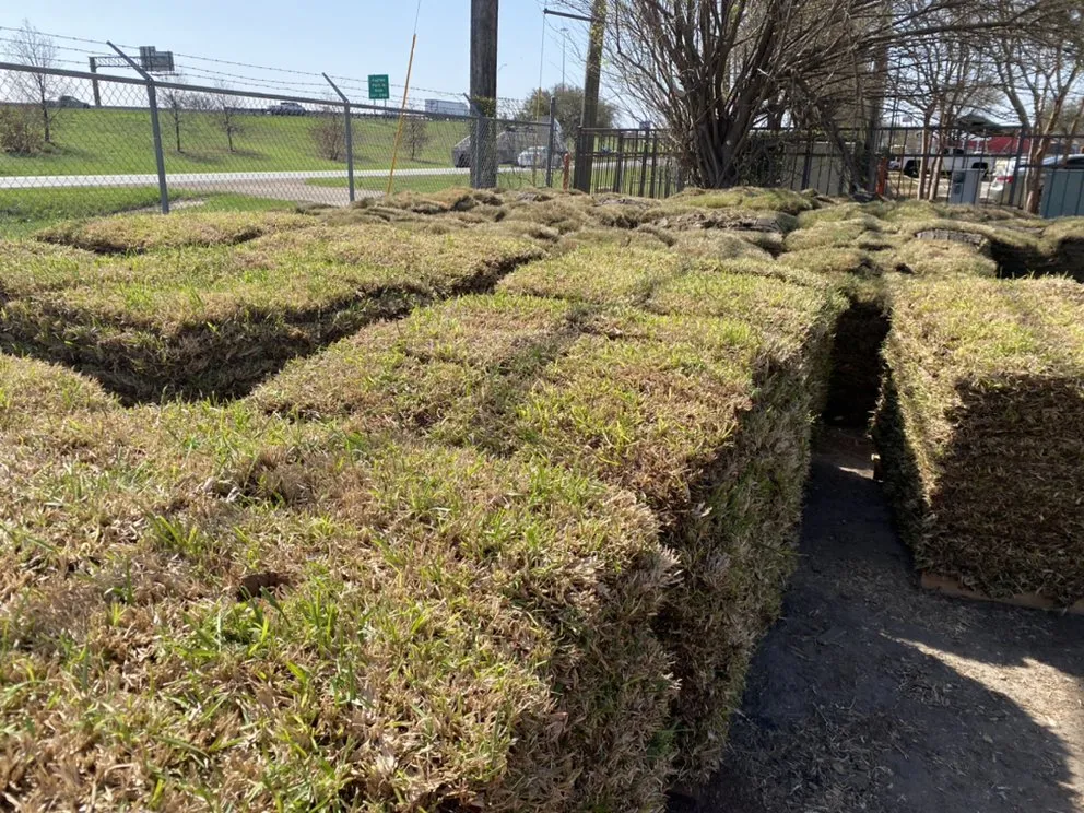 Local landscape design in Austin, TX by Palafox Landscaping and Tree Service