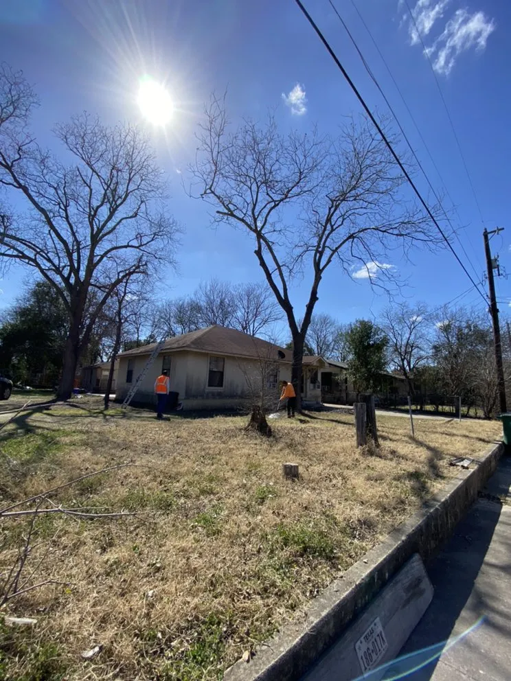 Reliable outdoor landscaping in Austin, TX - Palafox Landscaping and Tree Service