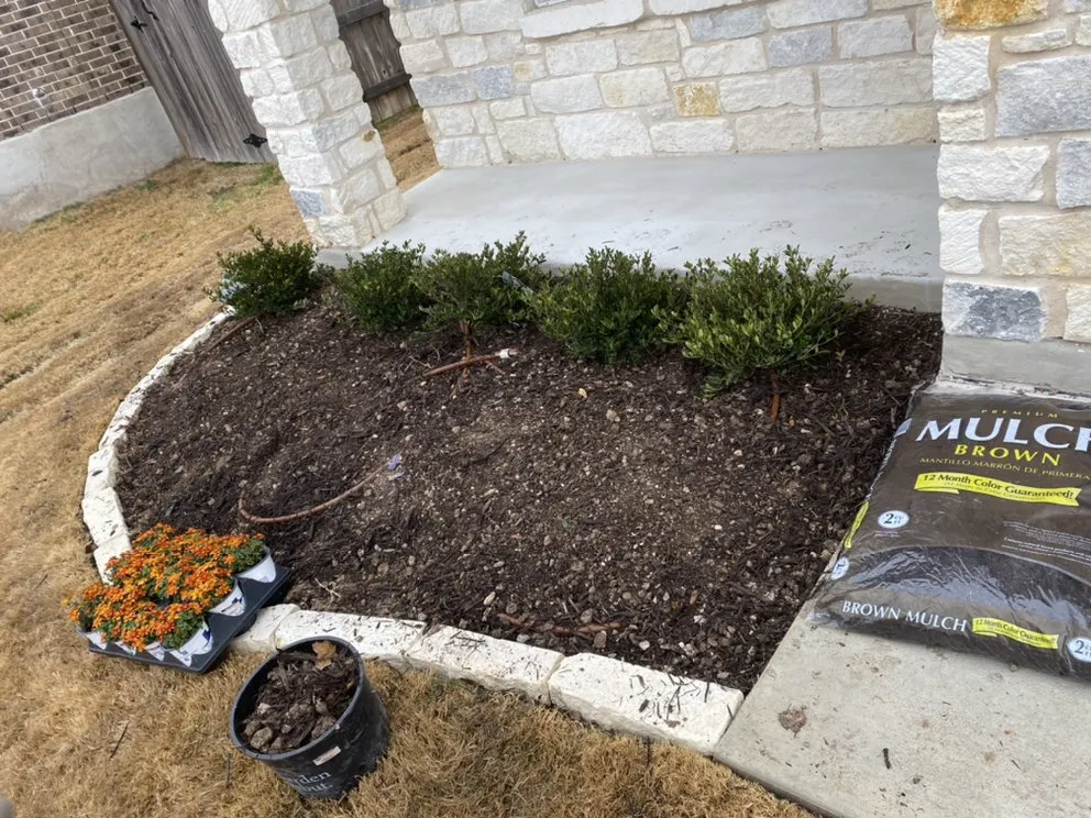 Professional landscape design experts serving Austin, TX - Palafox Landscaping and Tree Service