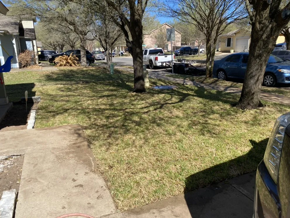 Trusted outdoor landscaping in Austin, TX - Palafox Landscaping and Tree Service