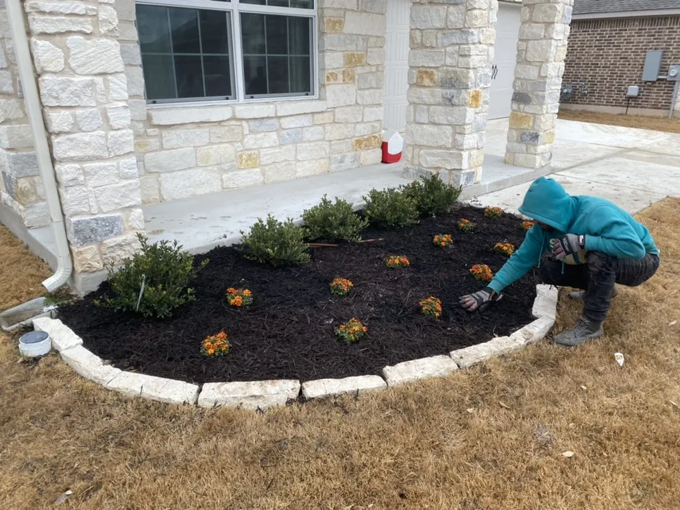 Expert yard maintenance for year-round maintenance across Austin, TX - Palafox Landscaping and Tree Service