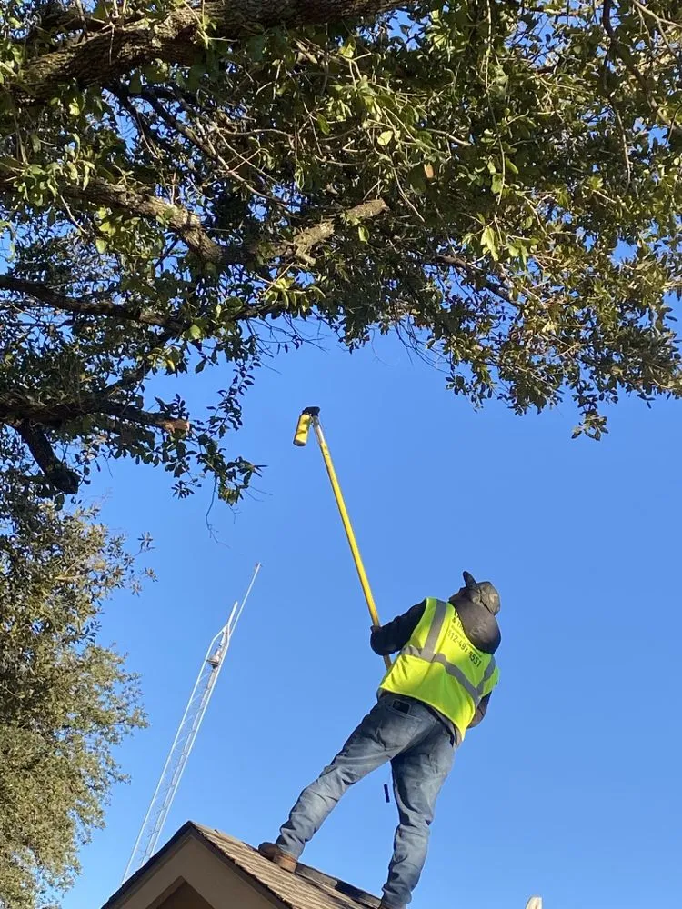 Top-rated landscape design in Austin, TX by Palafox Landscaping and Tree Service