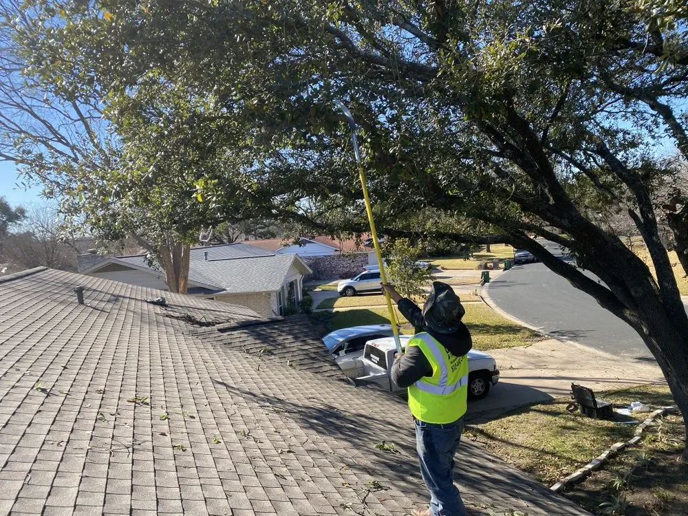 Trusted landscaping services in Austin, TX by Palafox Landscaping and Tree Service