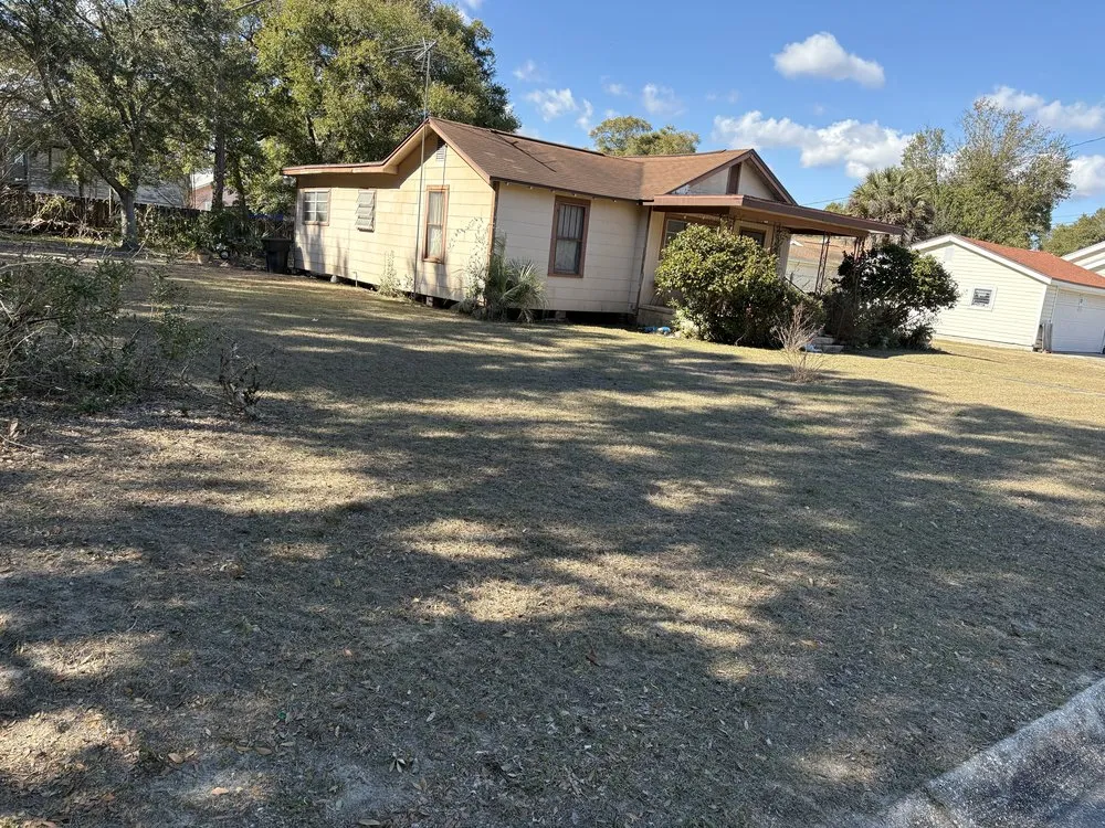 Top-rated landscape installation in Pensacola, FL by Palafox Palms