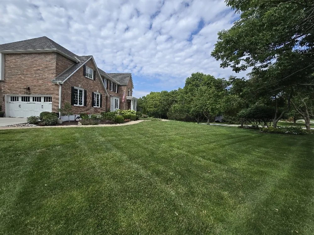 Expert landscape installation in Olathe, KS by Palatial Lawn & Landscape