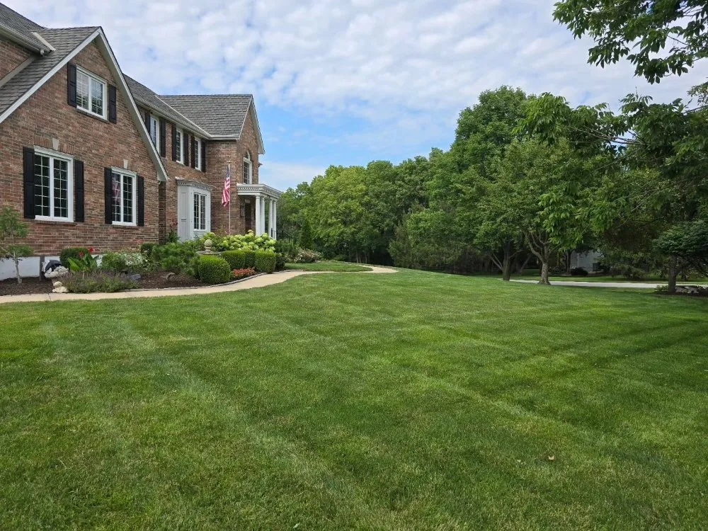 Reliable yard cleanup service experts serving Olathe, KS - Palatial Lawn & Landscape
