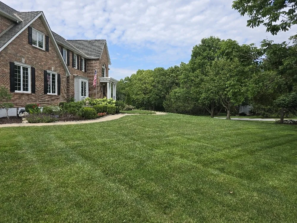 Custom yard maintenance in Olathe, KS - Palatial Lawn & Landscape