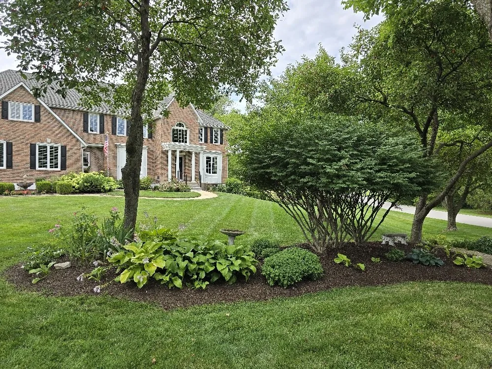 Professional landscape design for year-round maintenance across Olathe, KS - Palatial Lawn & Landscape