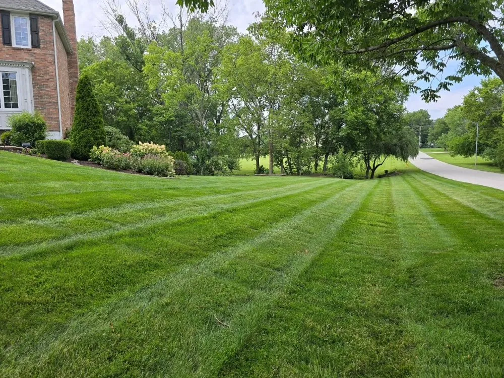 Professional landscape installation experts serving Olathe, KS - Palatial Lawn & Landscape
