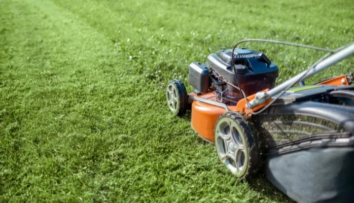 Professional lawn care service for year-round maintenance in Palatine, IL by Palatine Elite Lawn Care