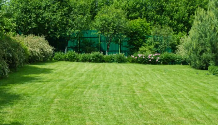 Reliable lawn care service in Palatine, IL - Palatine Elite Lawn Care