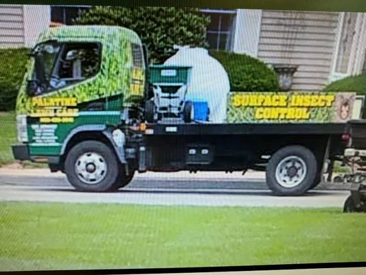 Palatine Property Services