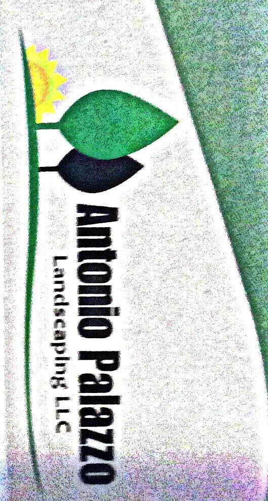 Custom yard cleanup service in Parsippany, NJ - Palazzo Landscape