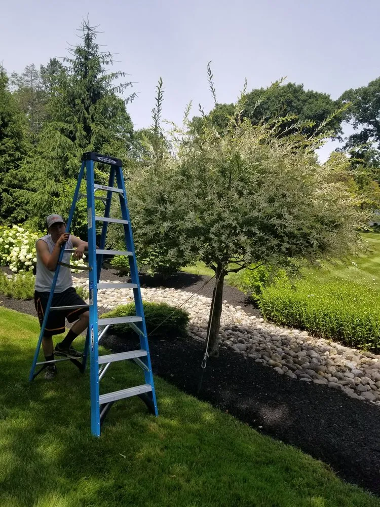 Local landscape installation in Mechanicville, NY by Palazzo Landscaping & Design Services