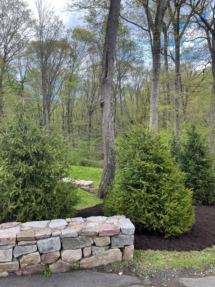 Top-rated landscaping services near you across Ridgefield, CT - Palazzo Landscaping