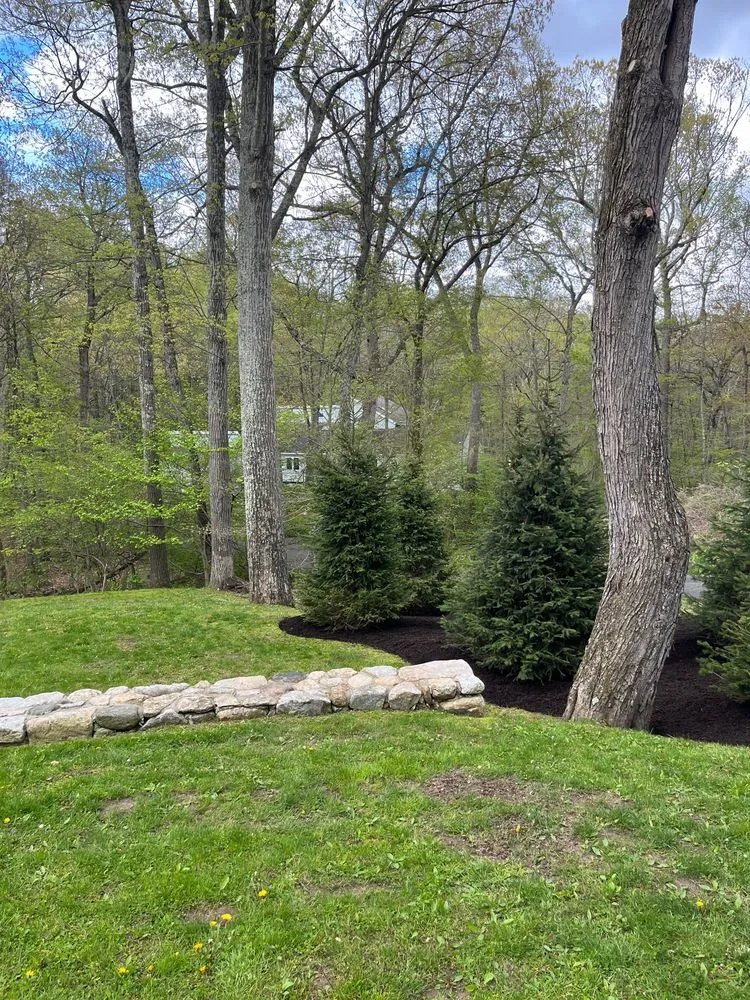 Reliable landscape design for outdoor upgrades in Ridgefield, CT by Palazzo Landscaping