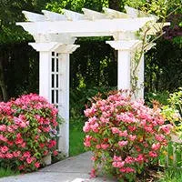 Affordable yard maintenance in Totowa, NJ by Palazzo Landscaping