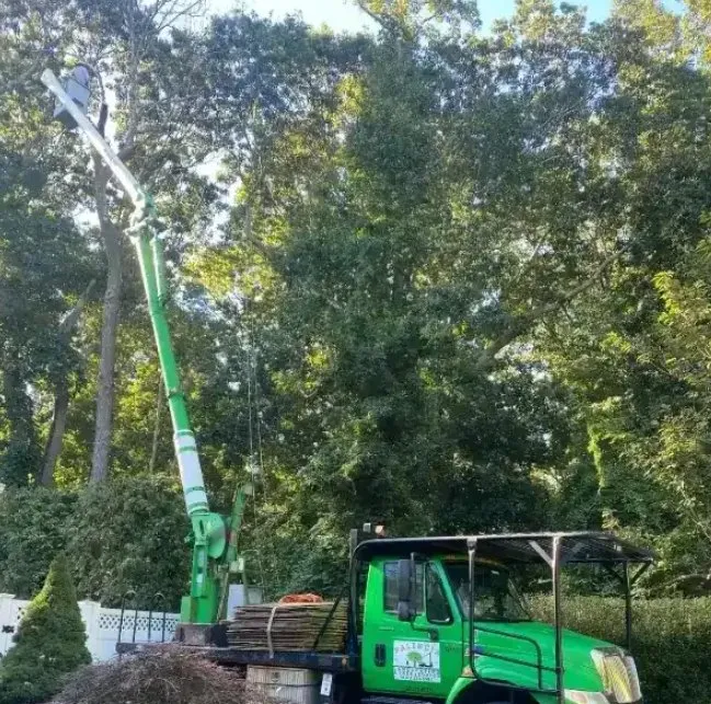 Expert yard cleanup service for outdoor upgrades across Greenport, NY - Palencia Landscaping and Tree Service