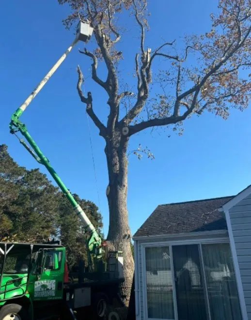 Reliable lawn care service experts serving Greenport, NY - Palencia Landscaping and Tree Service