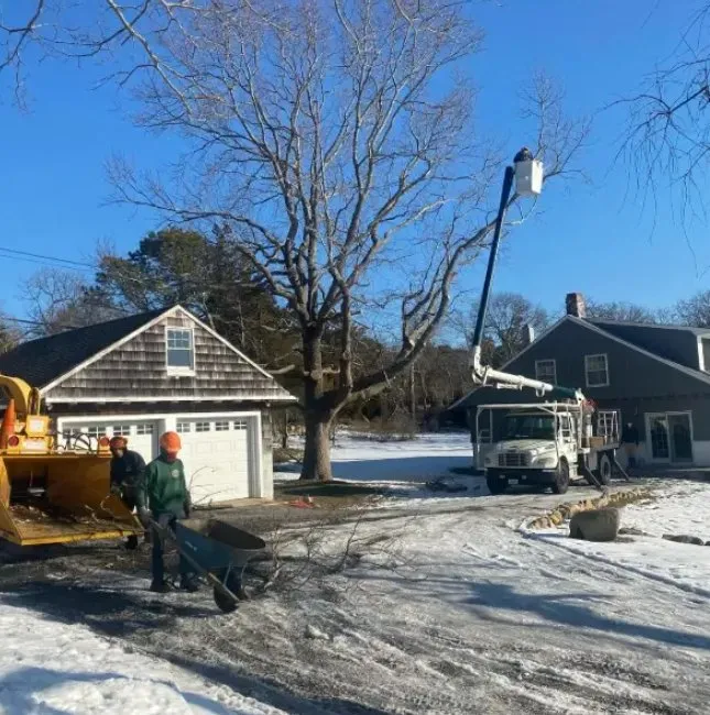 Affordable landscaping services for homes across Greenport, NY - Palencia Landscaping and Tree Service