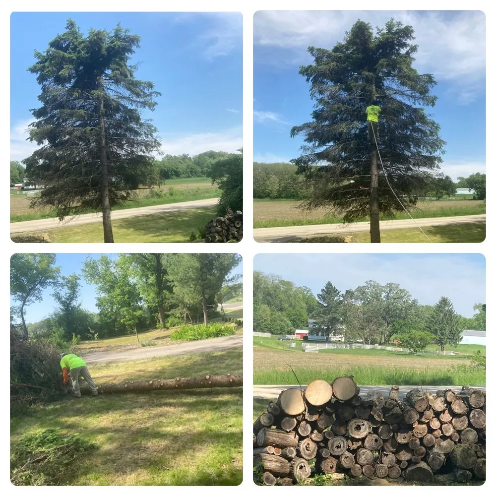 Reliable yard maintenance experts serving Madison, WI - PALEX- Landscaping and Lawn care