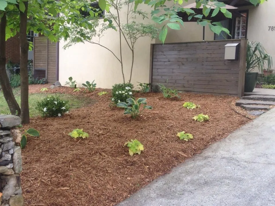 Professional yard maintenance experts serving Atlanta, GA - Paley Landscaping