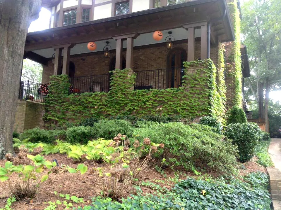 Affordable outdoor landscaping with custom design in Atlanta, GA by Paley Landscaping