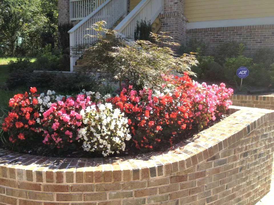 Professional yard cleanup service in Atlanta, GA by Paley Landscaping