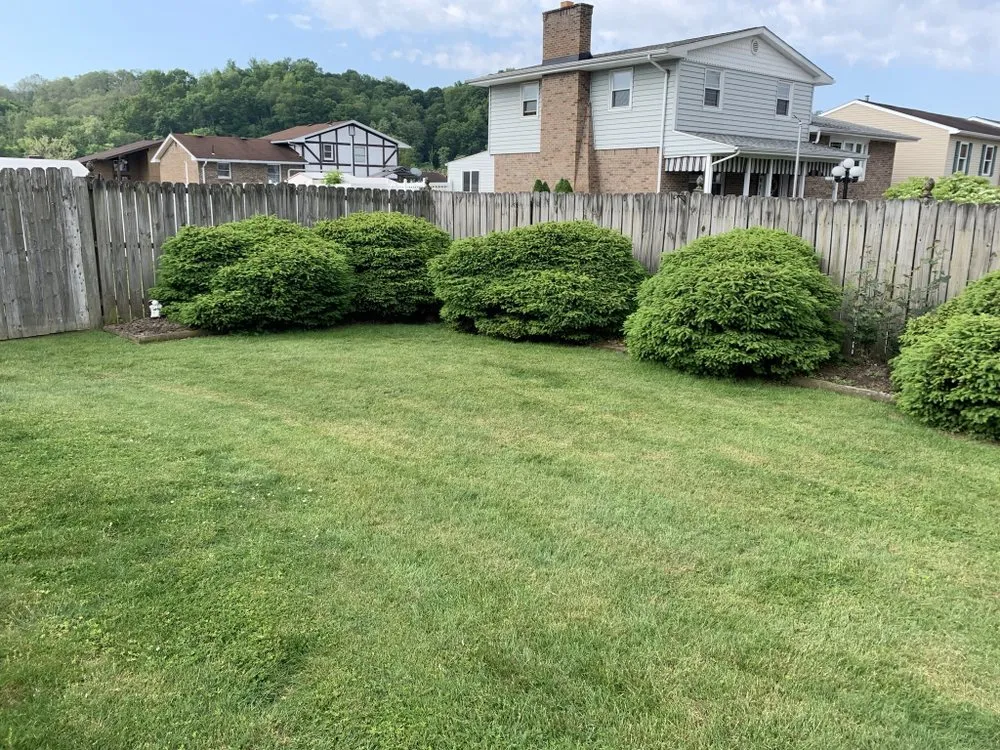Expert lawn care service in Coal Center, PA by Palfrey Lawn Care and Landscaping