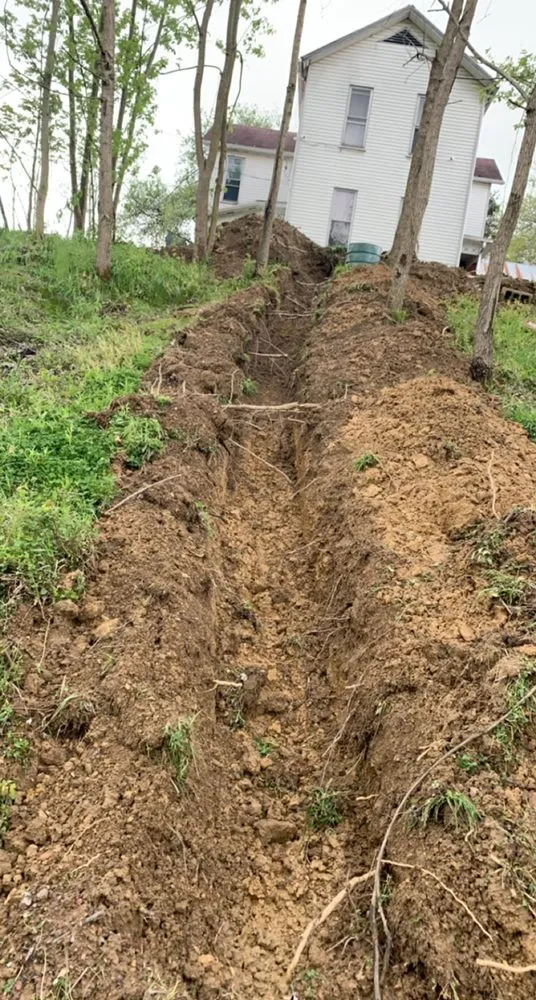 Local yard cleanup service experts serving Coal Center, PA - Palfrey Lawn Care and Landscaping