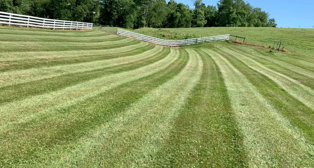 Trusted yard cleanup service in Coal Center, PA - Palfrey Lawn Care and Landscaping