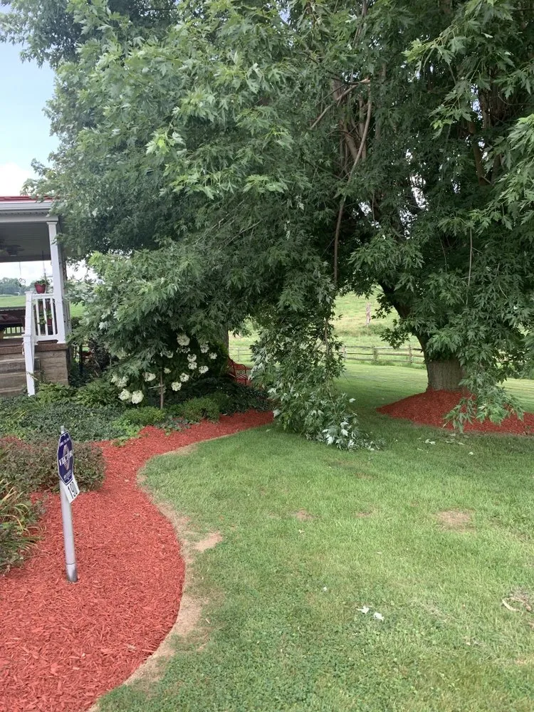 Affordable landscape installation in Coal Center, PA by Palfrey Lawn Care and Landscaping