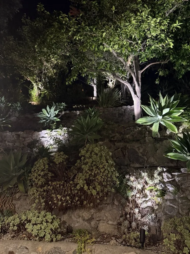 Local lawn mowing service in Los Angeles, CA by Pali Coast