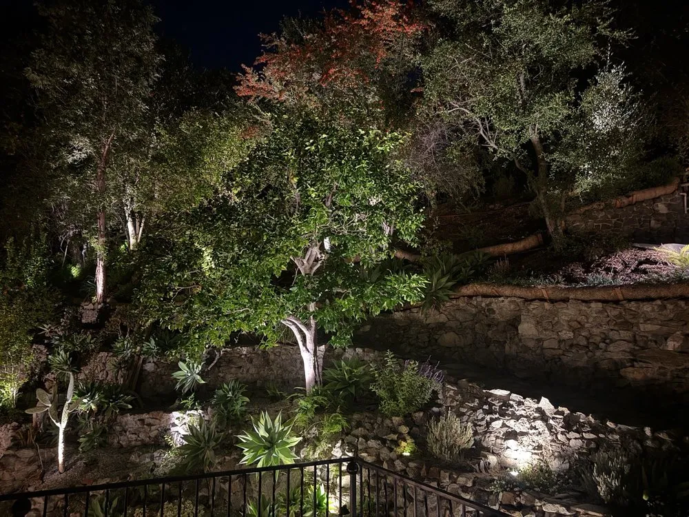 Professional yard cleanup service for beautiful yards across Los Angeles, CA - Pali Coast