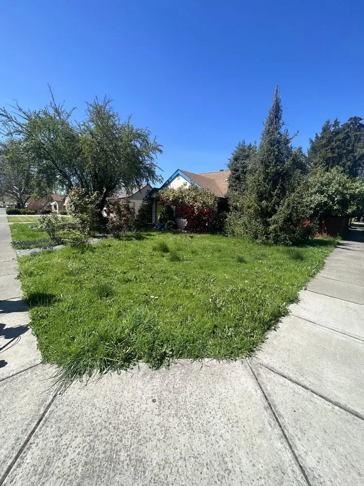 Trusted landscaping services in Grants Pass, OR by Palinkas Yard Care