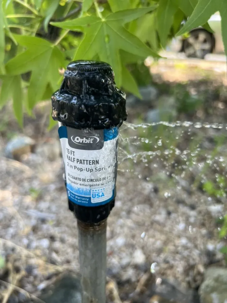 Custom landscape installation in Grants Pass, OR by Palinkas Yard Care