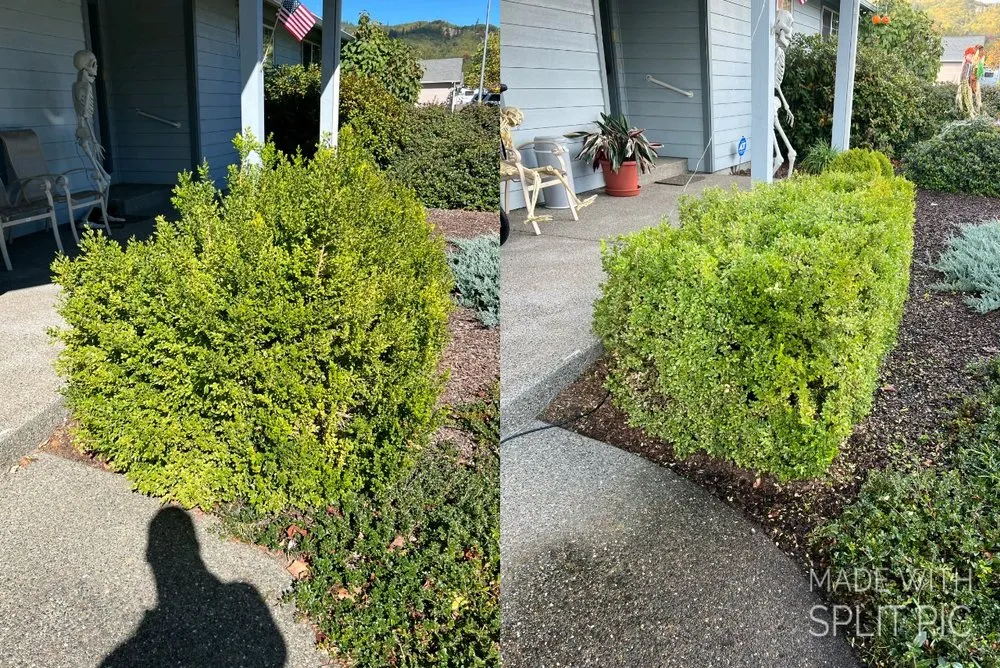 Trusted outdoor landscaping for outdoor upgrades in Grants Pass, OR by Palinkas Yard Care