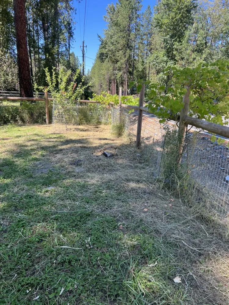 Affordable outdoor landscaping experts serving Grants Pass, OR - Palinkas Yard Care