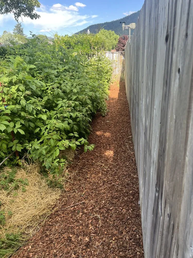 Expert yard cleanup service for year-round maintenance in Grants Pass, OR by Palinkas Yard Care