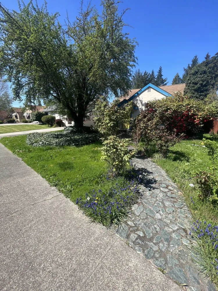 Local yard maintenance in Grants Pass, OR by Palinkas Yard Care