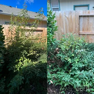 Palinkas Yard Care Logo