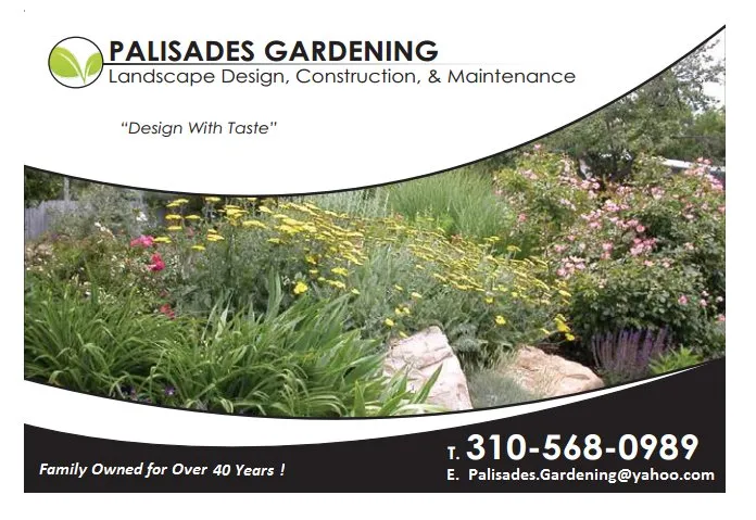 Expert yard maintenance experts serving Pacific Palisades, CA - Palisades Gardening
