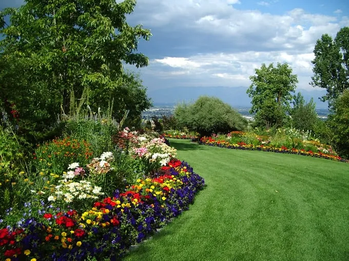 Top-rated yard maintenance in Pacific Palisades, CA - Palisades Gardening