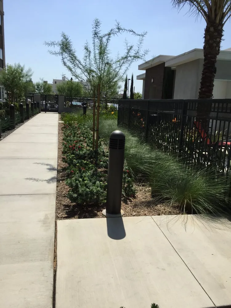 Trusted landscape installation for beautiful yards in Pacific Palisades, CA by Palisades Gardening