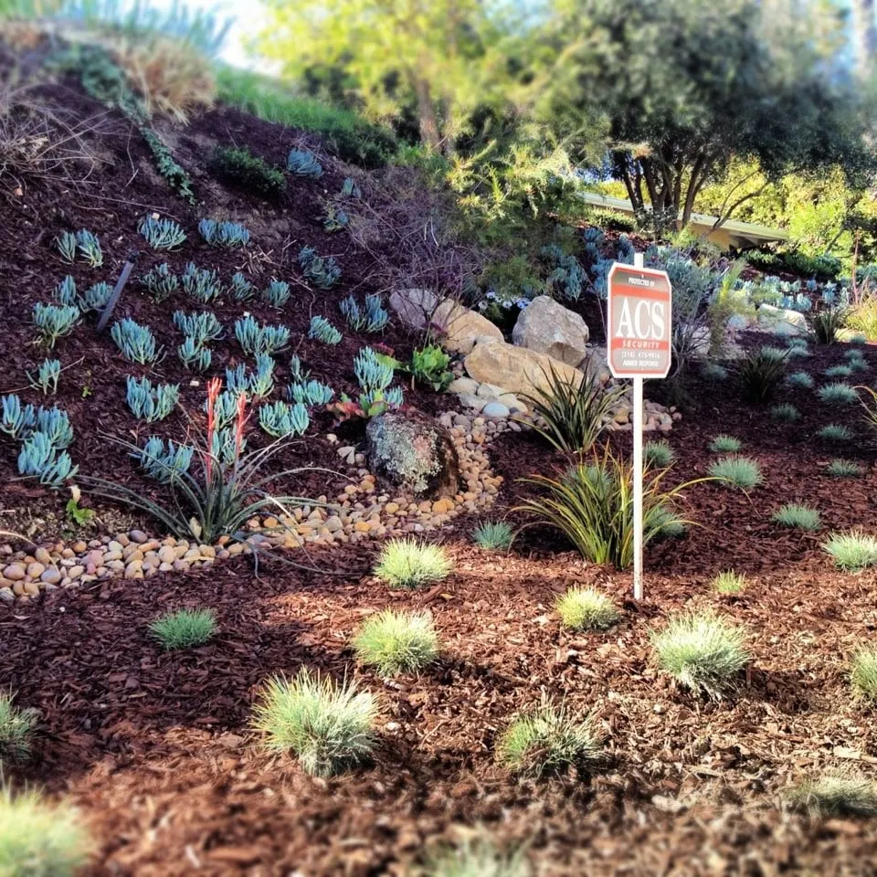 Top-rated yard maintenance for homes across Pacific Palisades, CA - Palisades Gardening