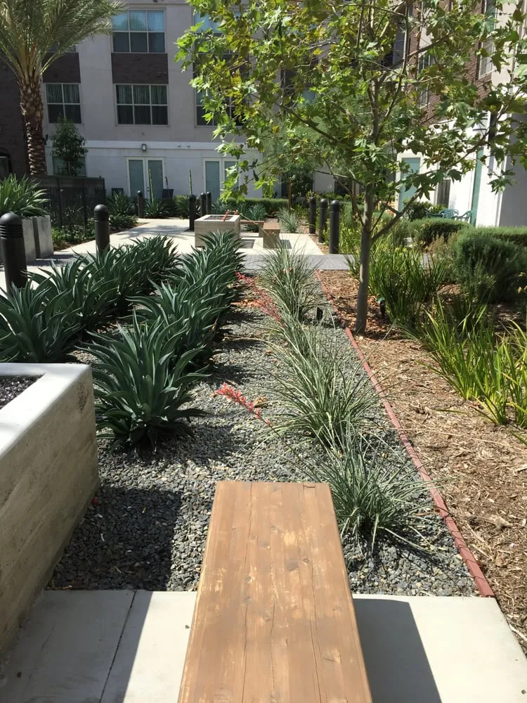 Professional yard maintenance experts serving Pacific Palisades, CA - Palisades Gardening