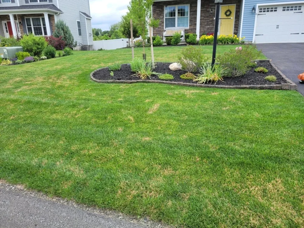 Reliable yard maintenance for beautiful yards across Mechanicville, NY - Palitsch Property Management