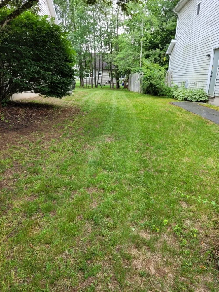 Affordable outdoor landscaping in Mechanicville, NY - Palitsch Property Management