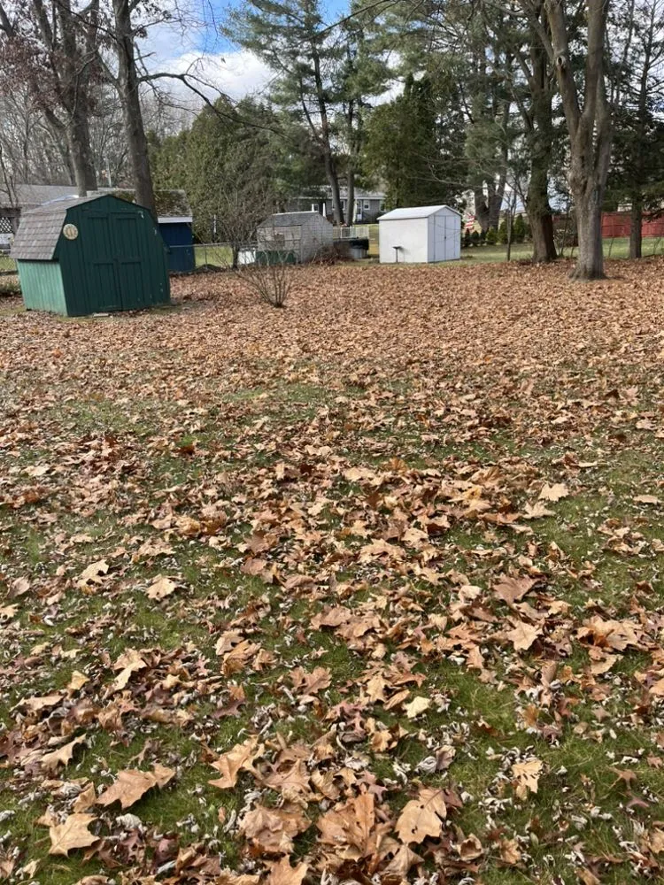 Local lawn mowing service in Mechanicville, NY - Palitsch Property Management